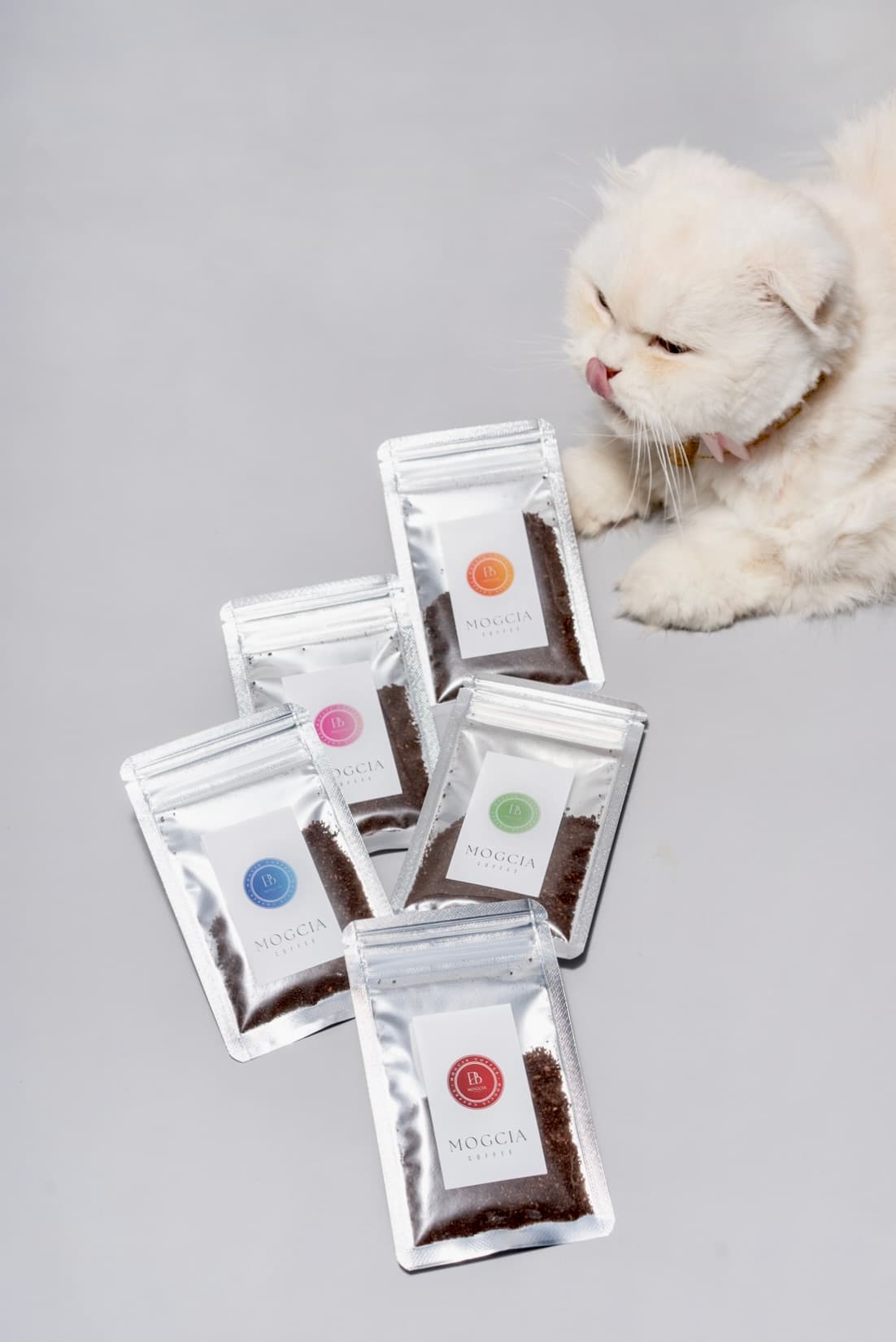 MOGCIA Coffeeのドリップバッグと白い猫